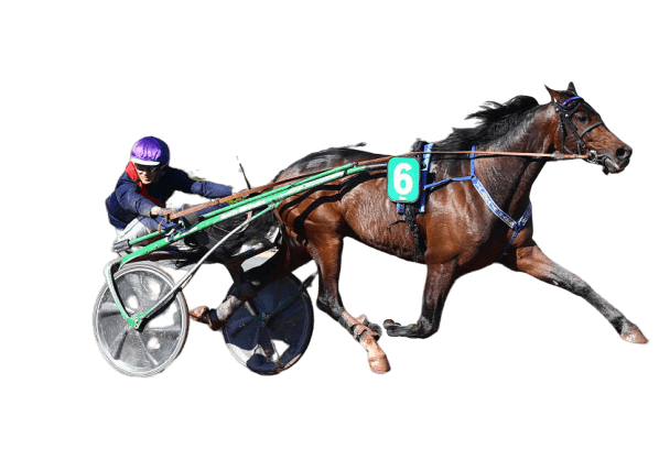 secret turf faille gagnantes 2 sites pmu